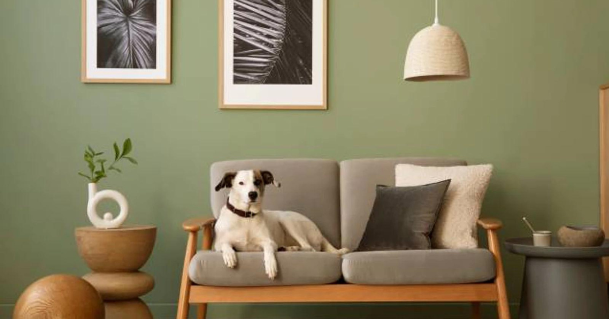 What Colors Go With Sage Green: A Guide To Stylish Combinations